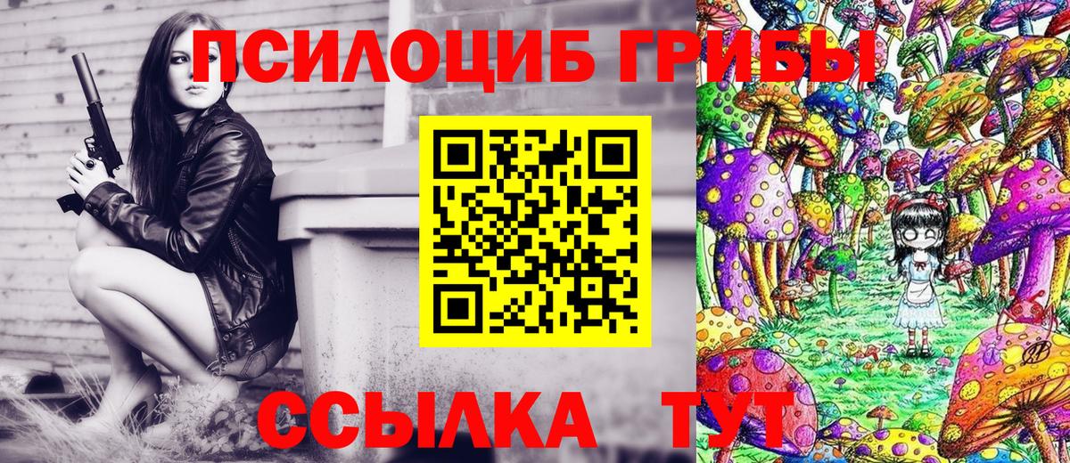 Галлюциногенные грибы Psilocybe  Вход с VPN  Благодарный 